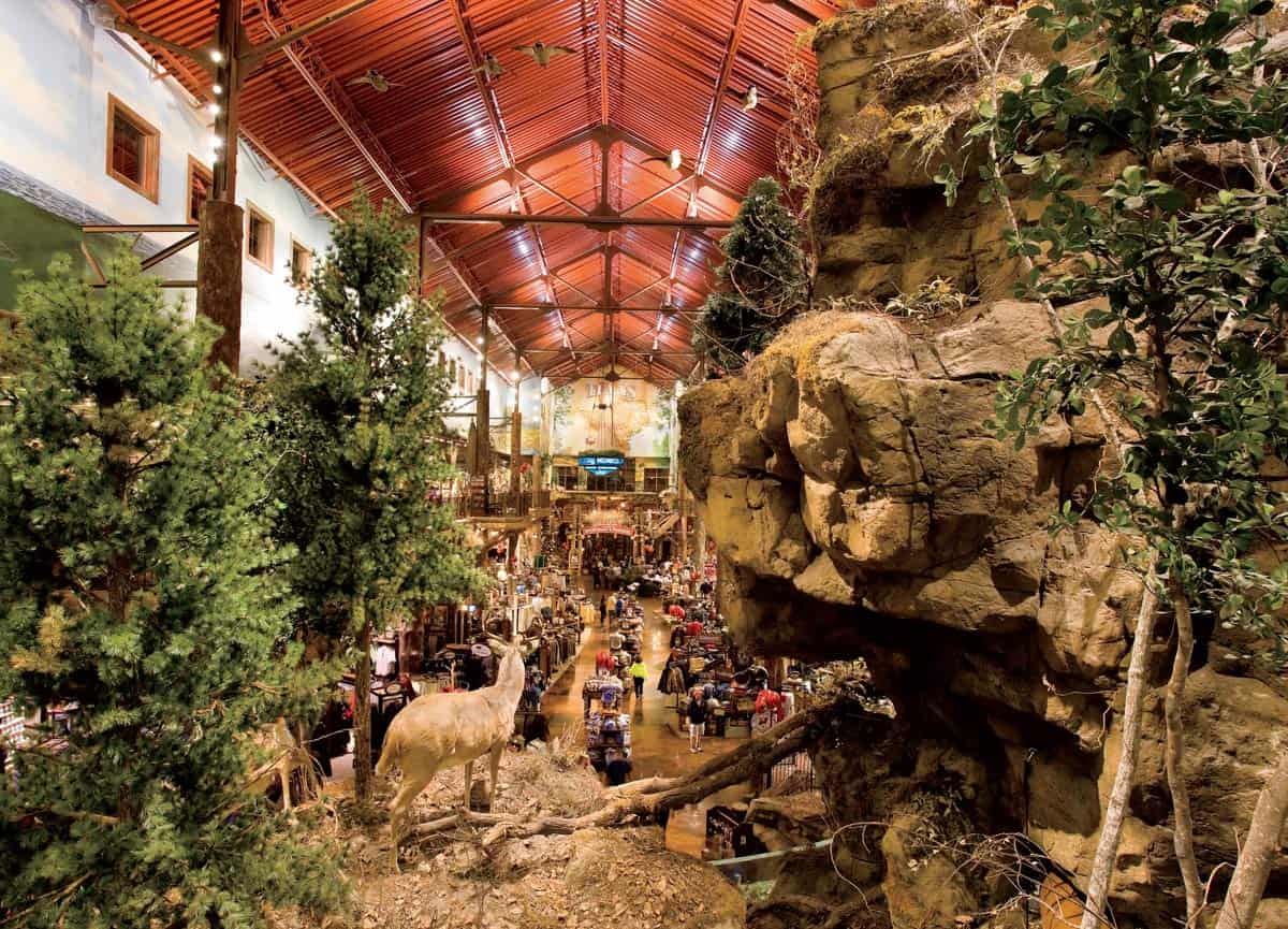Interior of Pearland Texas Bass Pro Shops