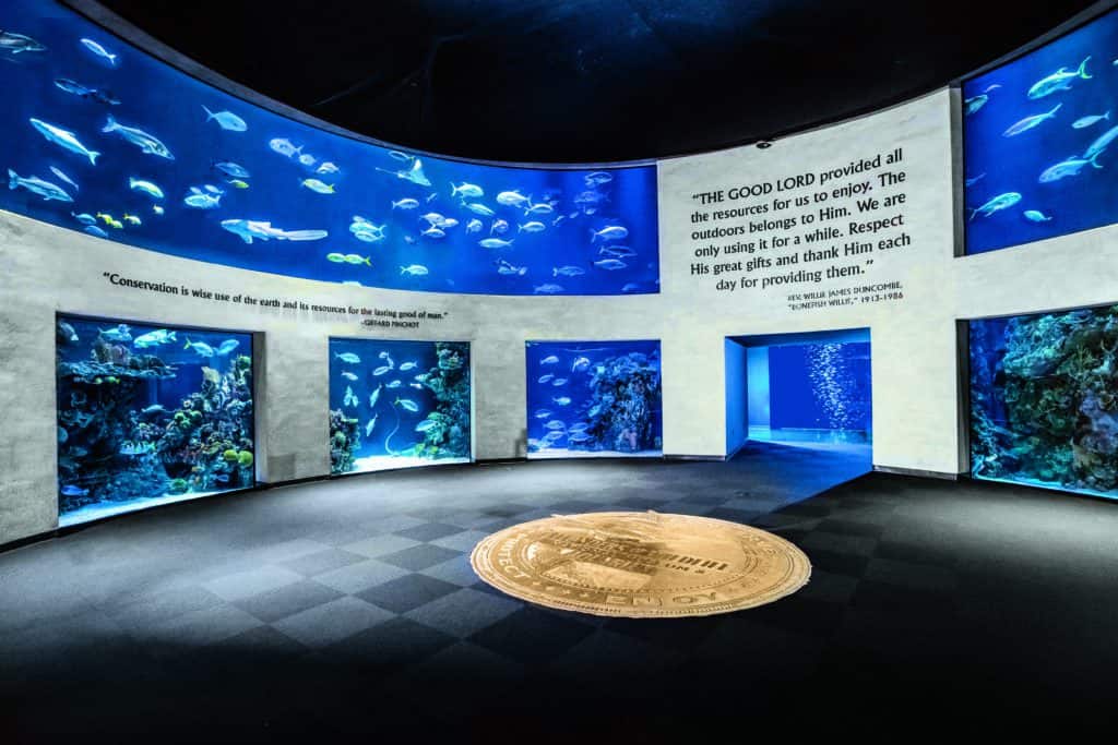 Wonders of Wildlife National Museum & Aquarium nominated again for  “America's Best Aquarium” honor by USA TODAY - Bass Pro