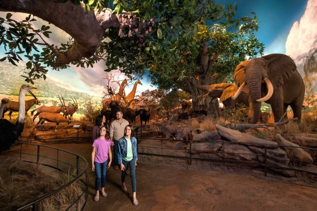 Bass Pro Shops' Top Experiences and Attractions - Engage3