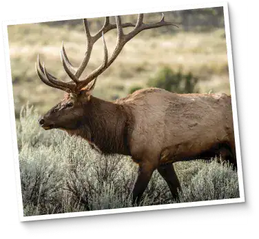 Outdoor fund: NATIONAL PARTNERS